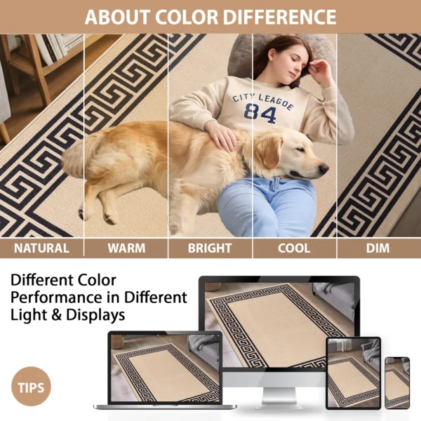 Greeky Beige Black bordered rug – colour guide