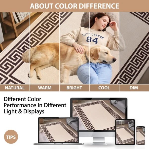 Greeky Beige Brown bordered rug – colour guide