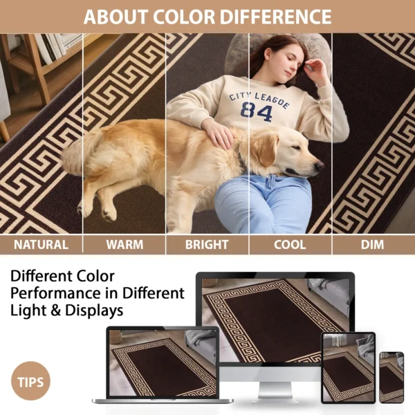 Greeky Brown Beige bordered rug – colour guide