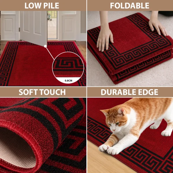 Greeky Red Black bordered rug – features